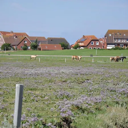 Seevilla Wietjes Whg 2 Appartamento