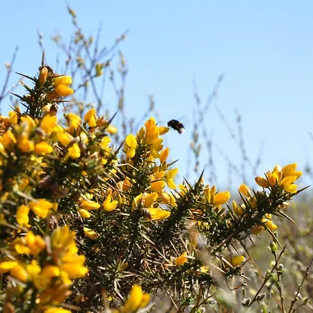 Seevilla Wietjes Whg 2 Appartamento *