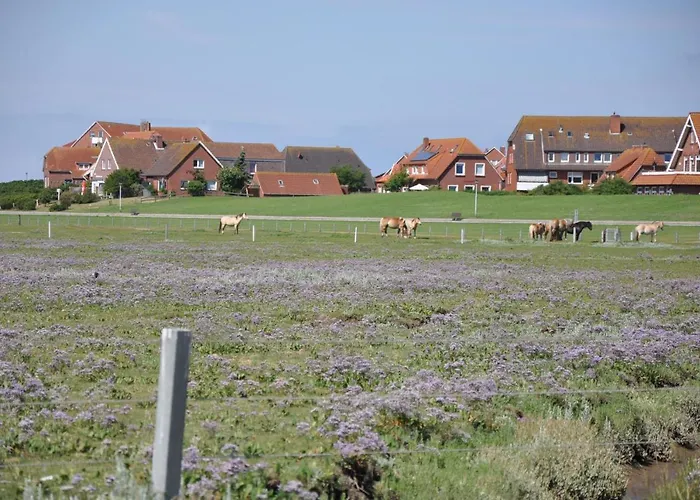 Seevilla Wietjes Whg 2 Apartmán