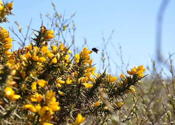 Seevilla Wietjes Whg 2 Apartmán *